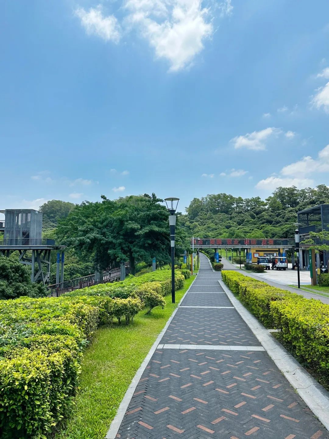 the Shenzhen version of the small West Lake - Lixin Lake Greenway