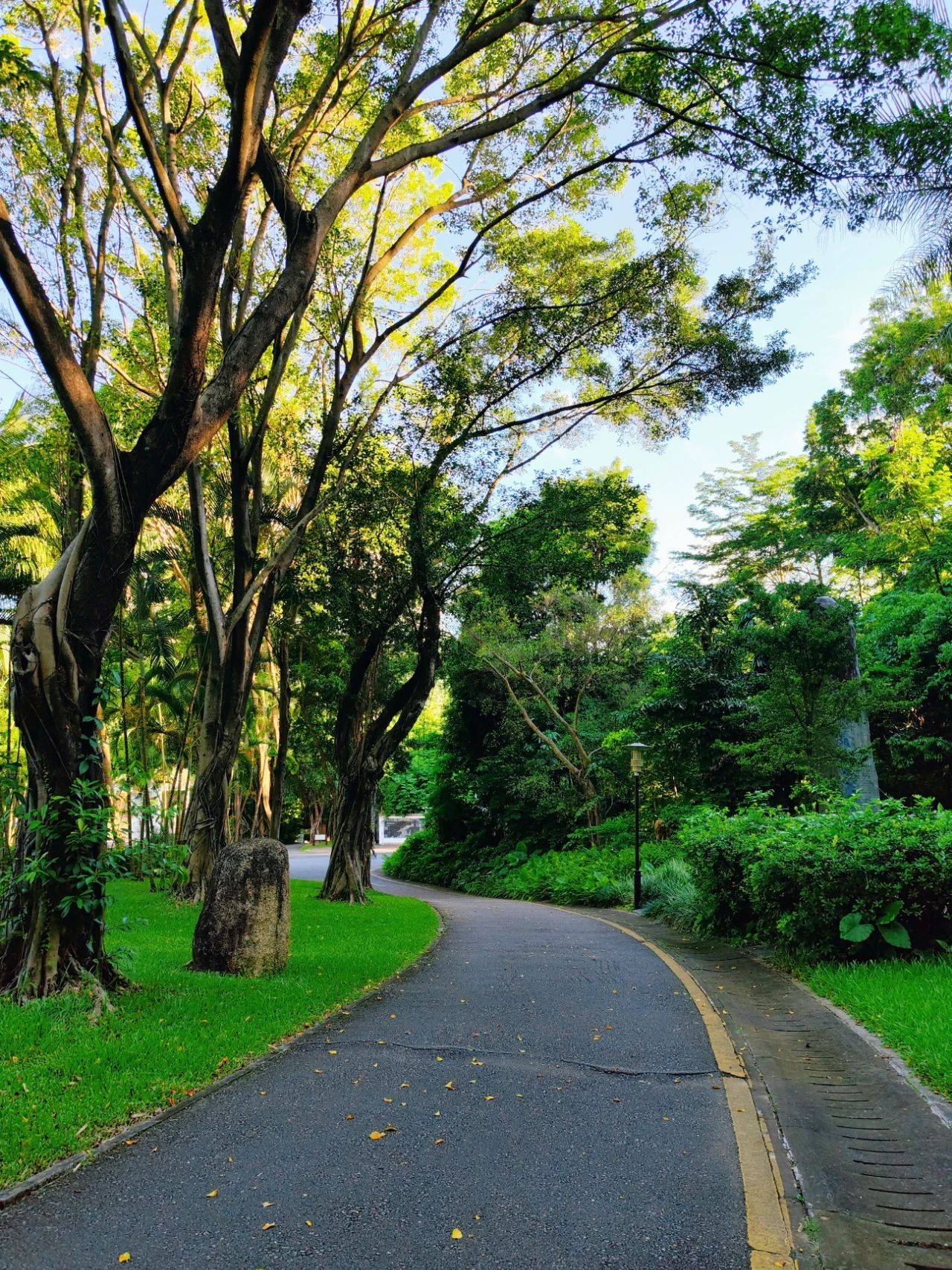 Accidentally intruded into the world of oil paintings in Shenzhen Park