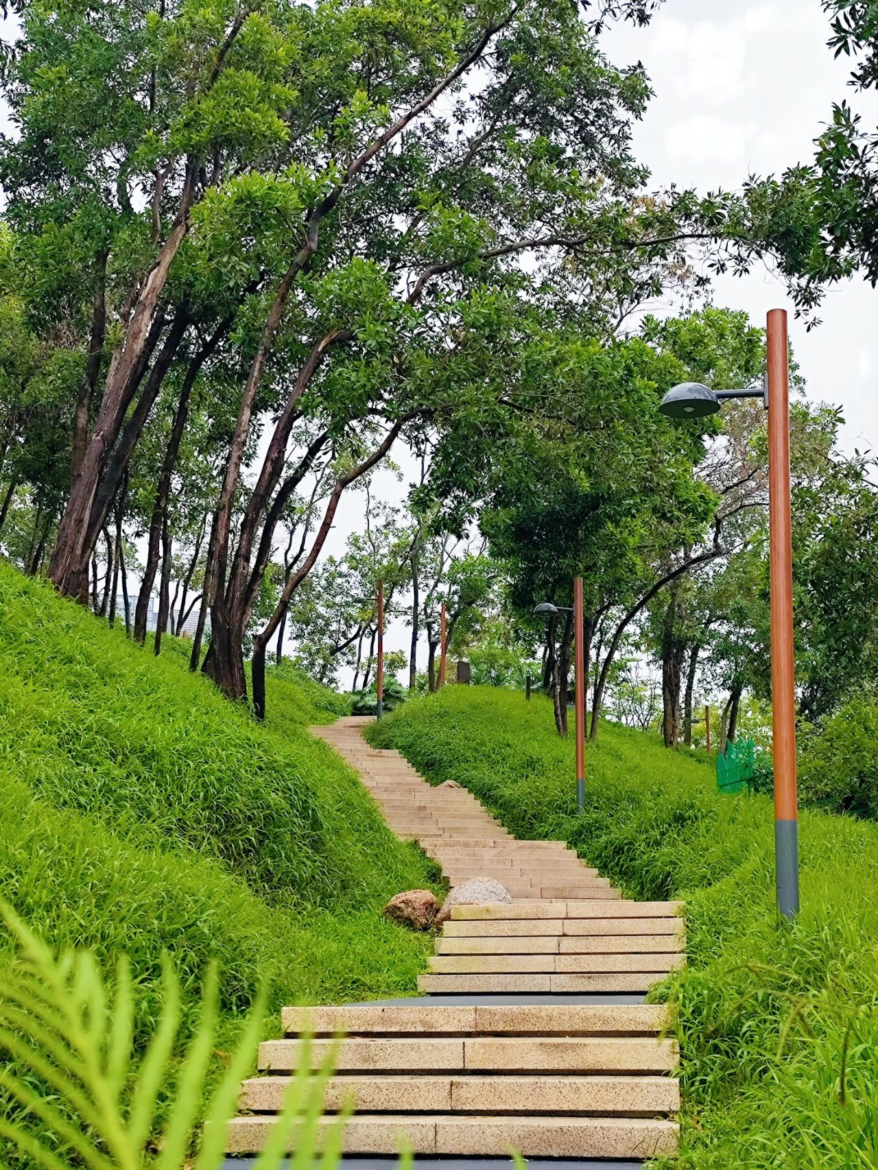 I declare! This is the most healing nature park in Shenzhen