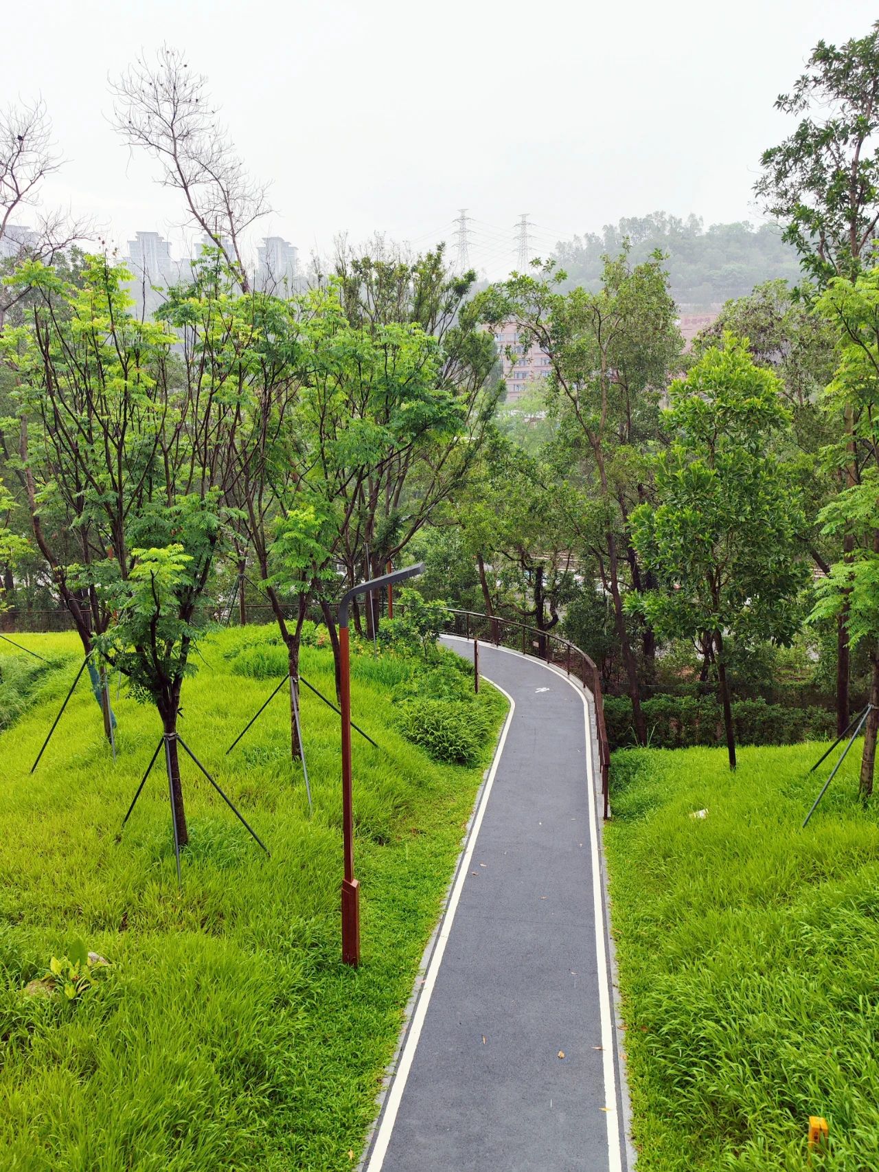 Qiaocheng North Park, the most healing nature park in Shenzhen