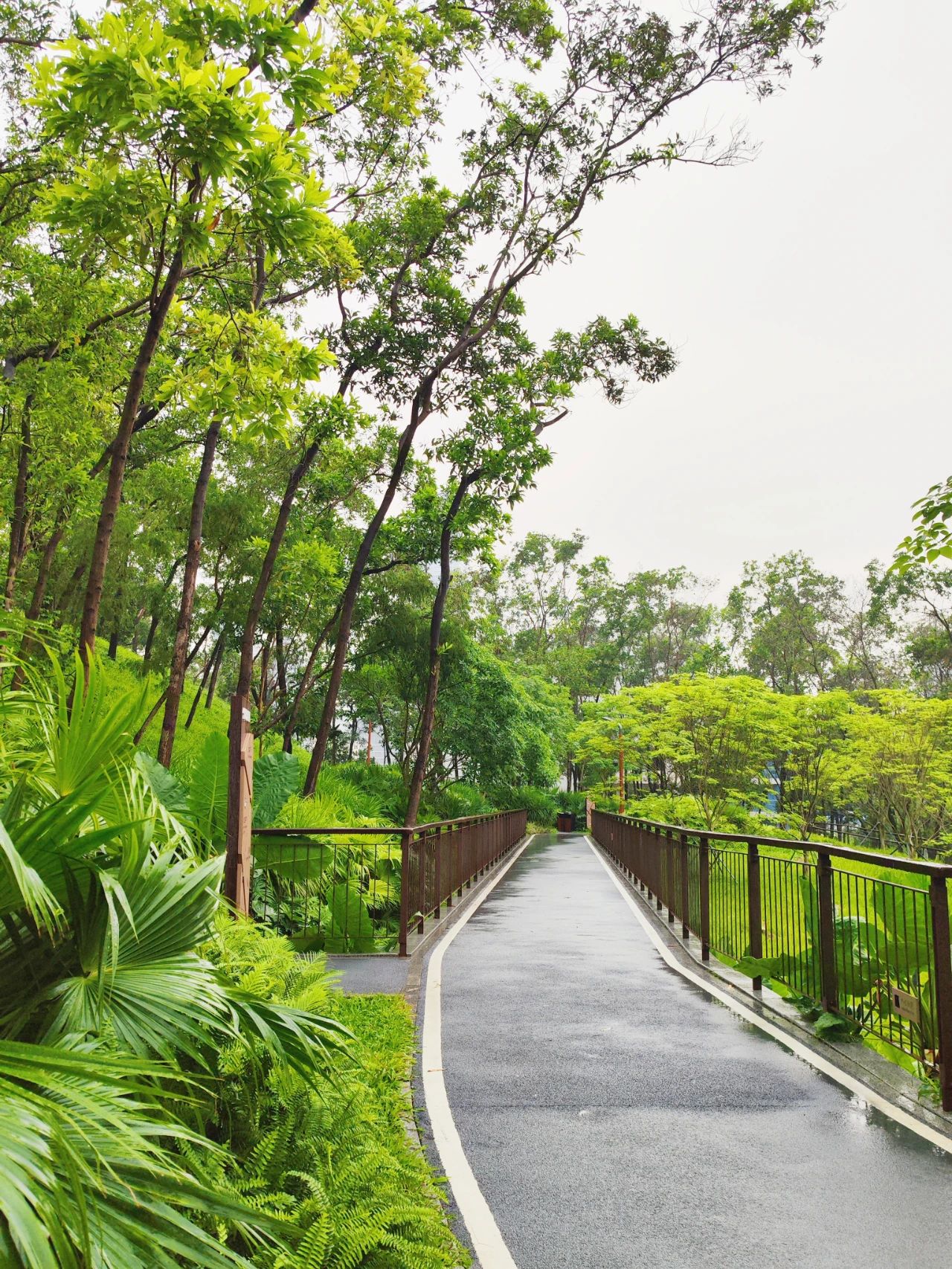 Qiaocheng North Park, the most healing nature park in Shenzhen