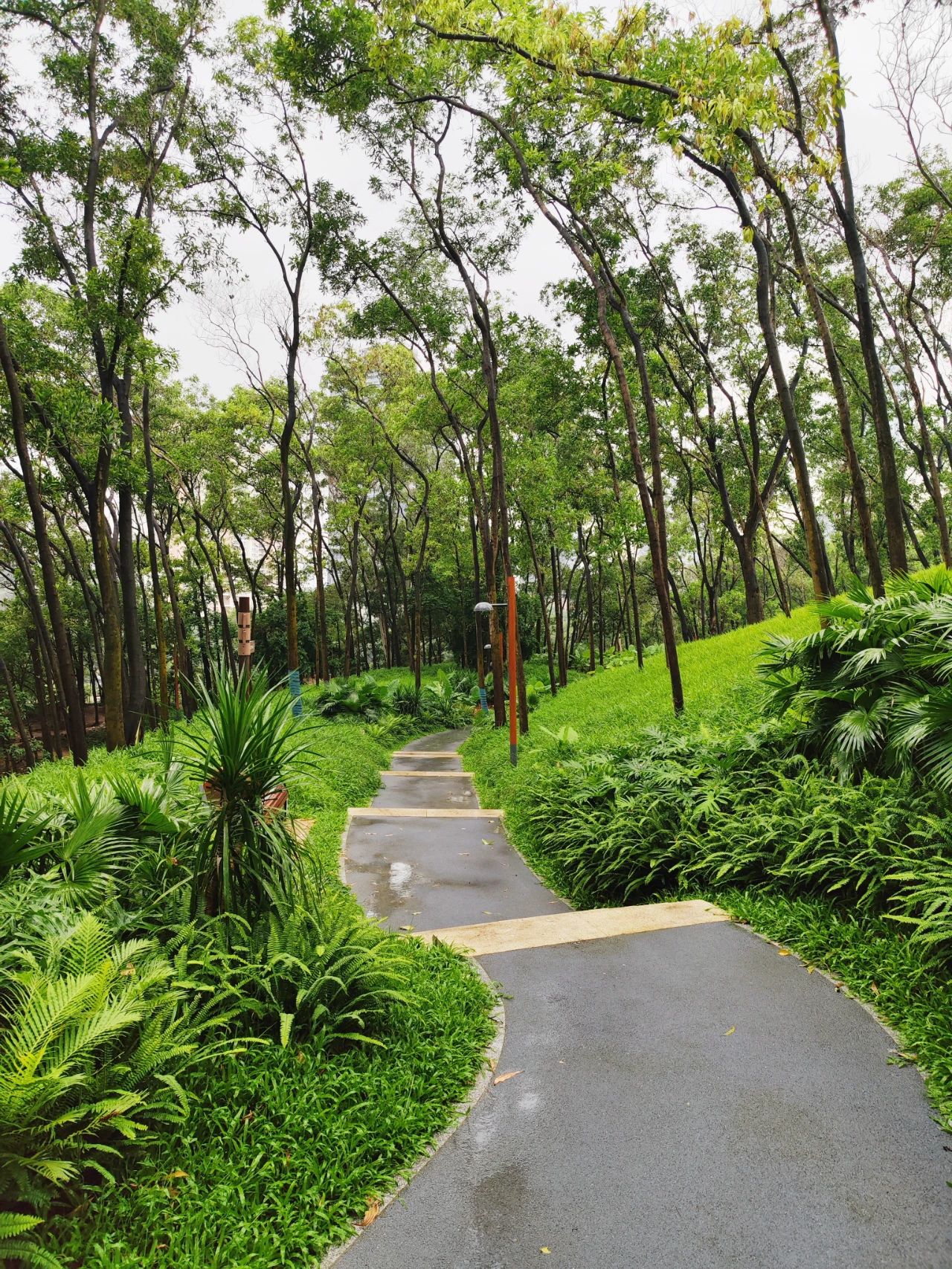 Qiaocheng North Park, the most healing nature park in Shenzhen