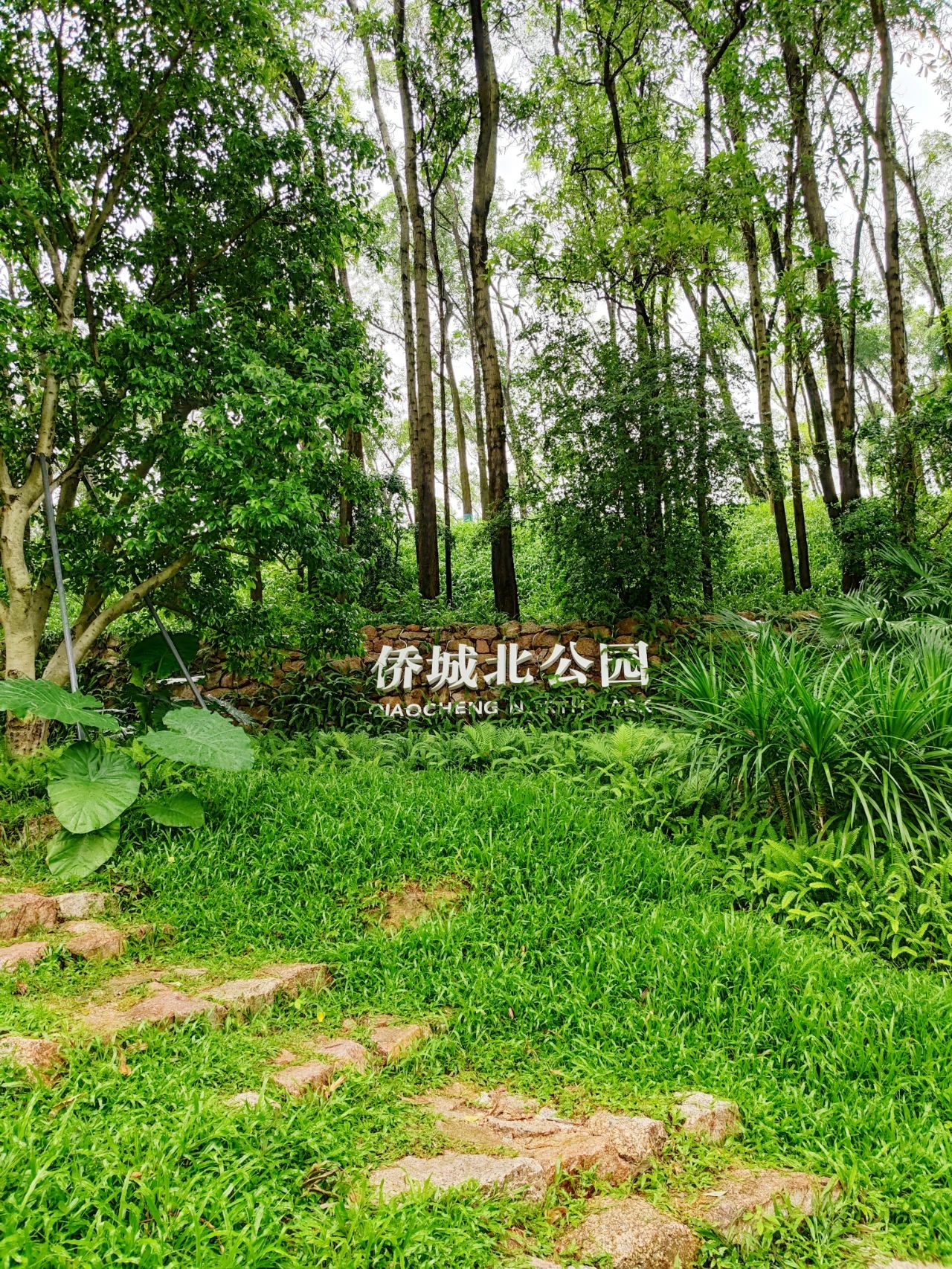 Qiaocheng North Park, the most healing nature park in Shenzhen