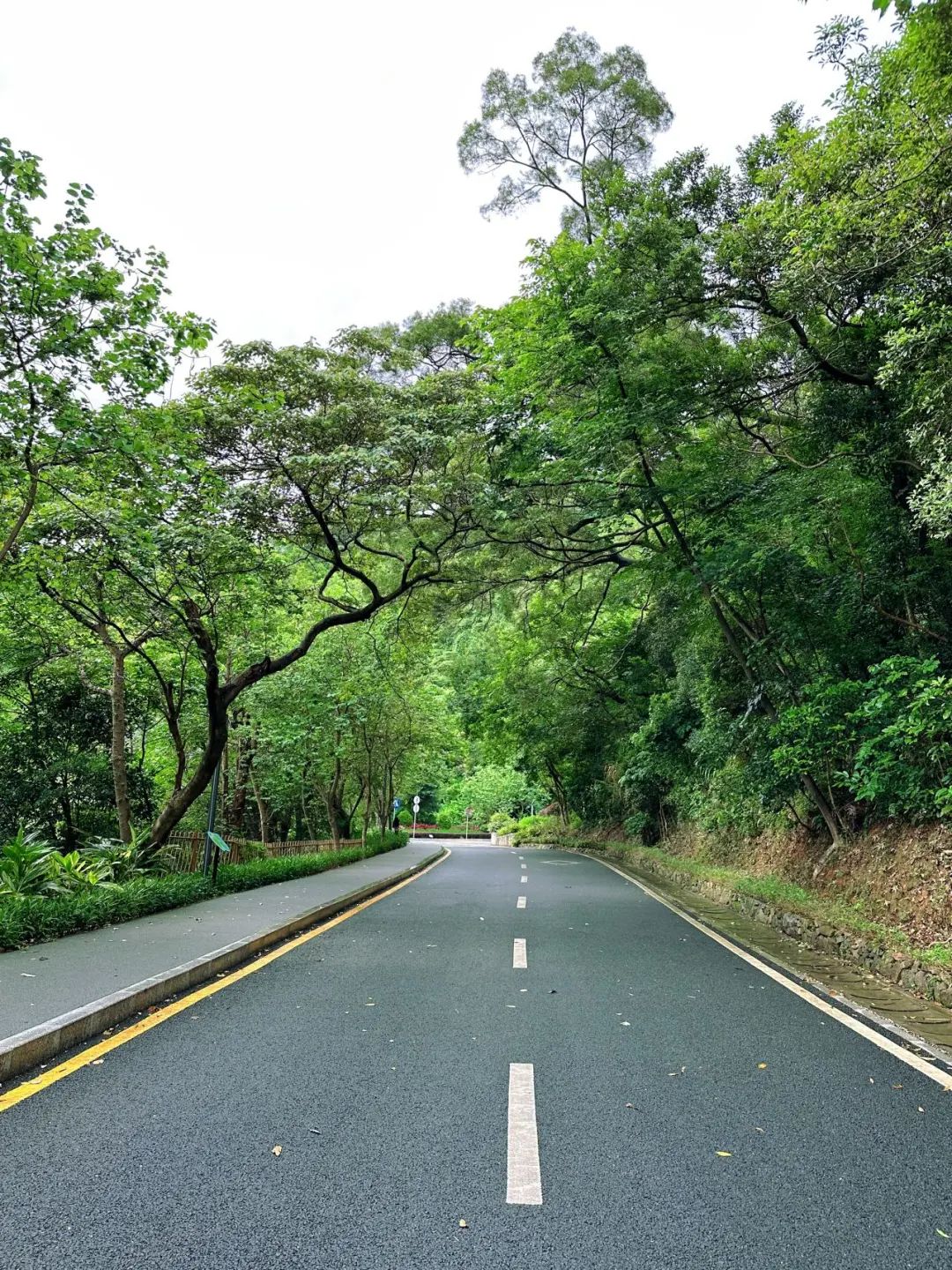 Shenzhen Enshang Reservoir, This most beautiful mountain and sea trail!