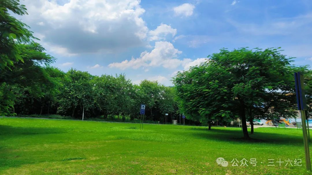 Shenzhen Strange Flowers Park