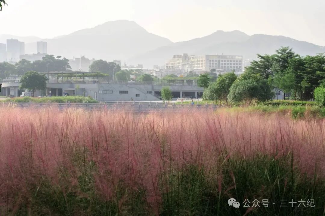 Shenzhen Strange Flowers Park