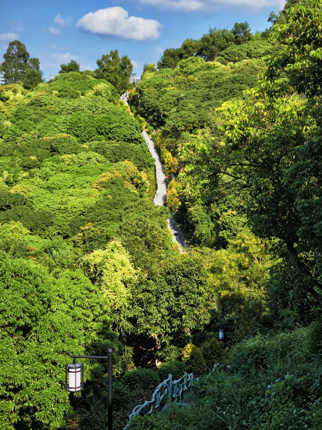 Qilong Mountain Park, A underrated eco-park