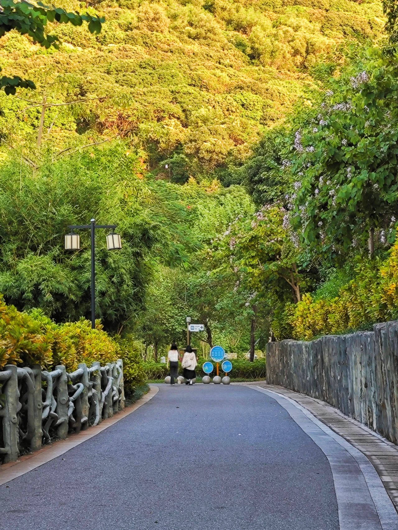 Qilong Mountain Park, A underrated eco-park