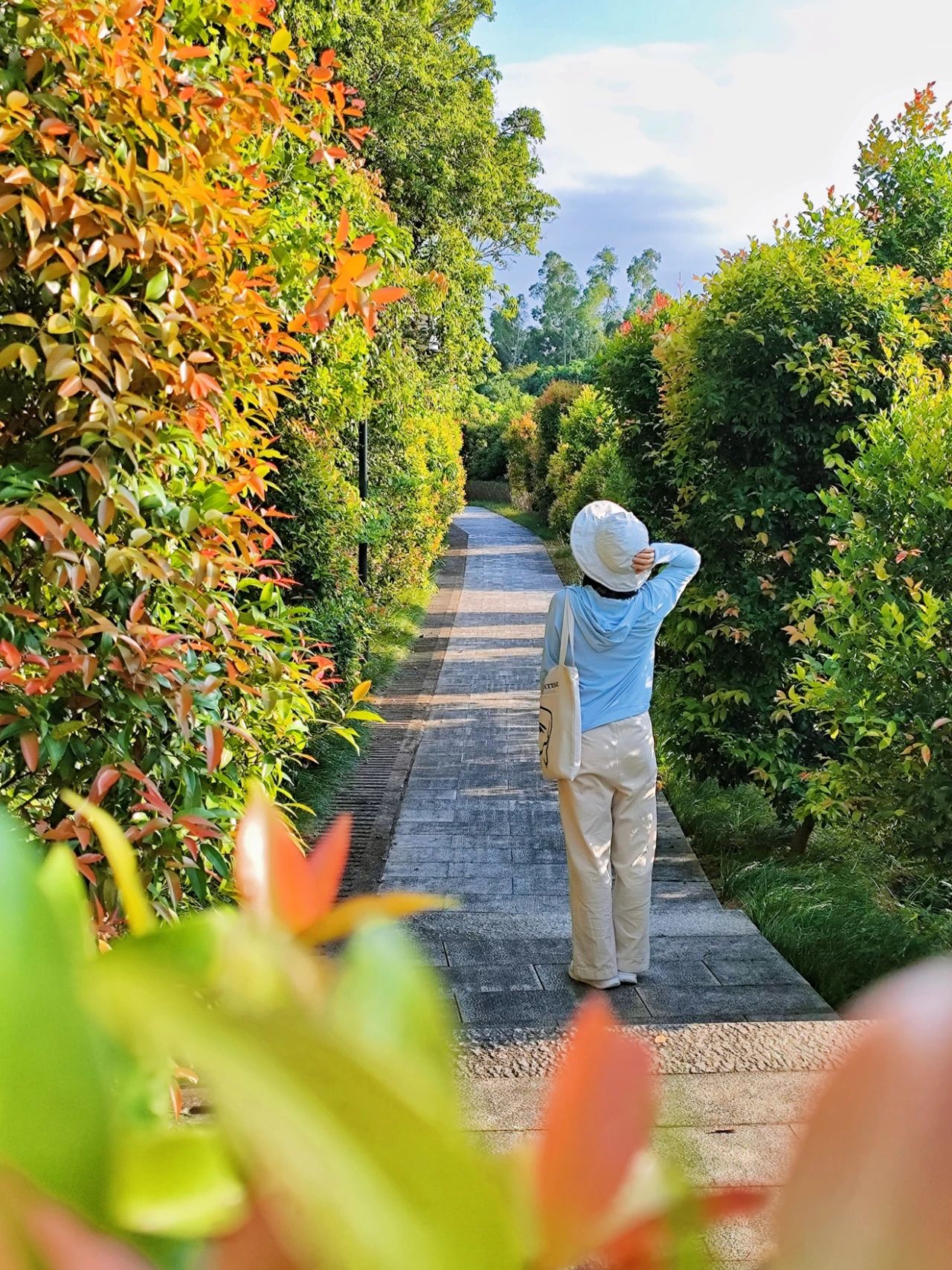 Qilong Mountain Park, A underrated eco-park