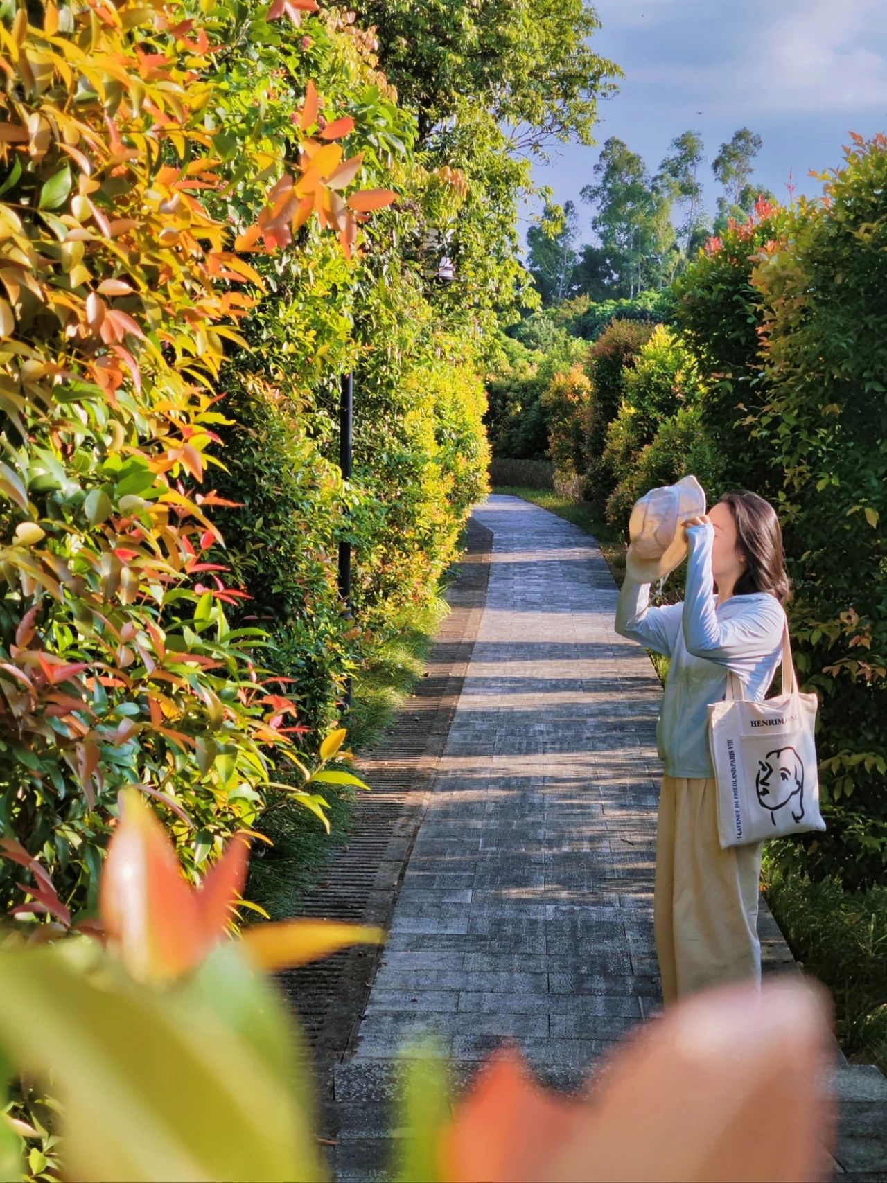 Qilong Mountain Park, A underrated eco-park