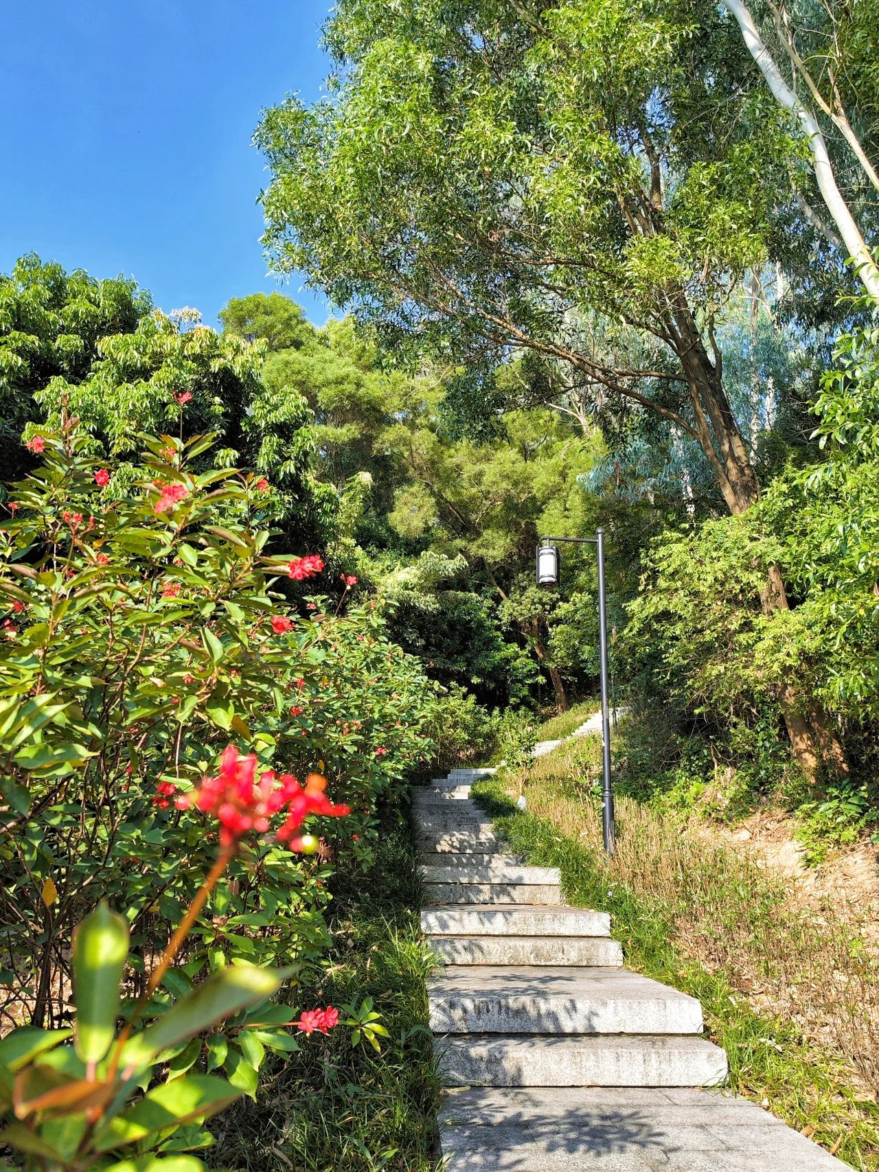 Qilong Mountain Park, A underrated eco-park