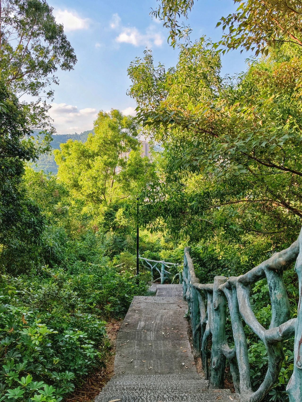 Qilong Mountain Park, A underrated eco-park