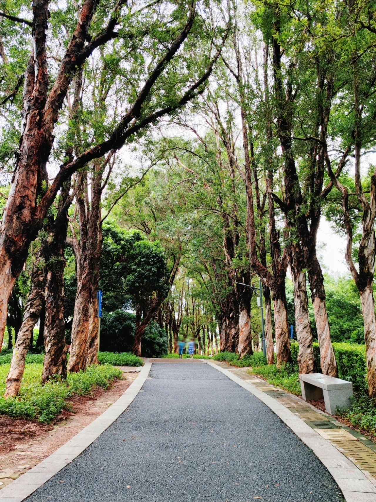 This treasure photo place is - Lingzhi Park