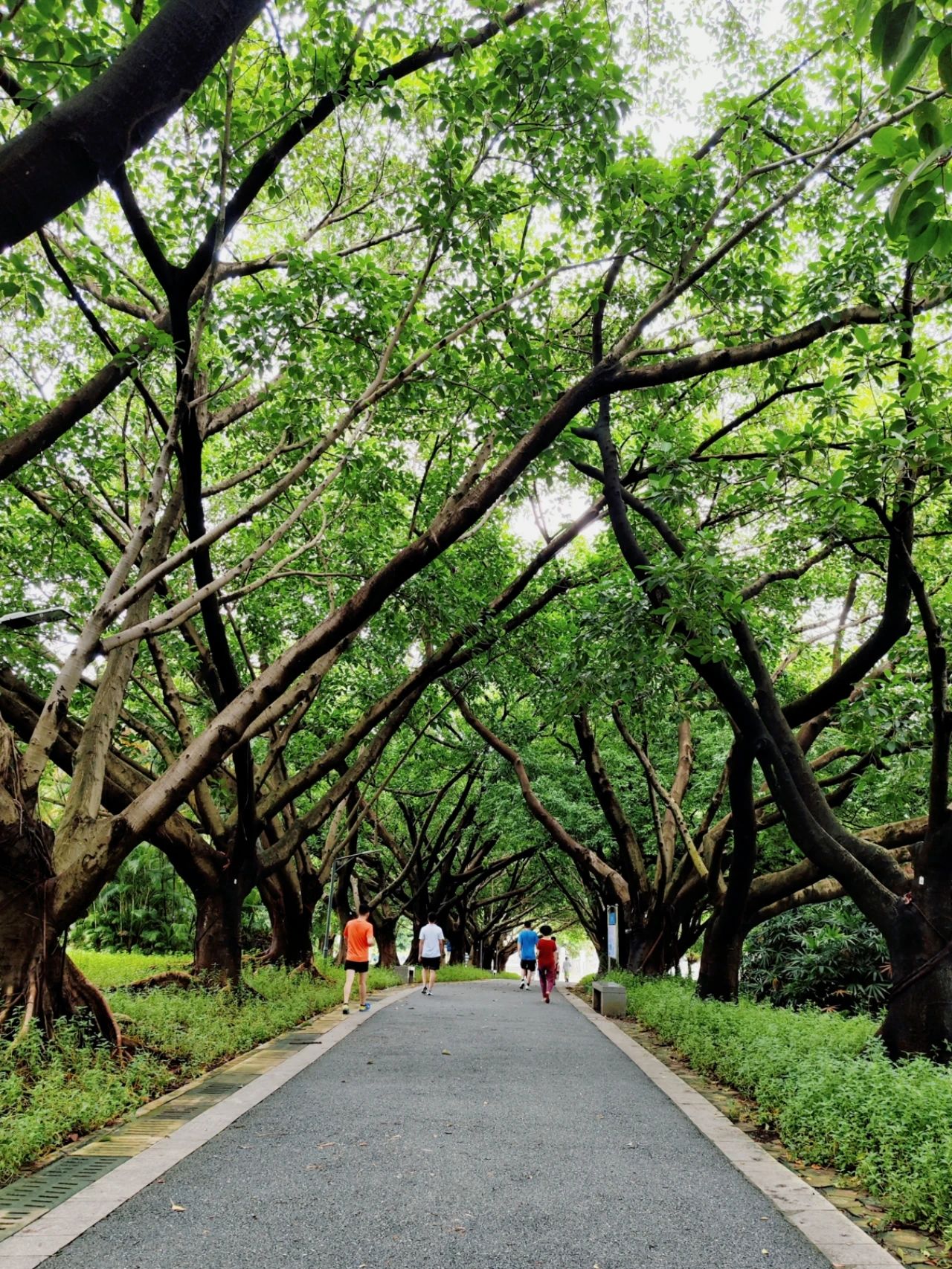 This treasure photo place is - Lingzhi Park