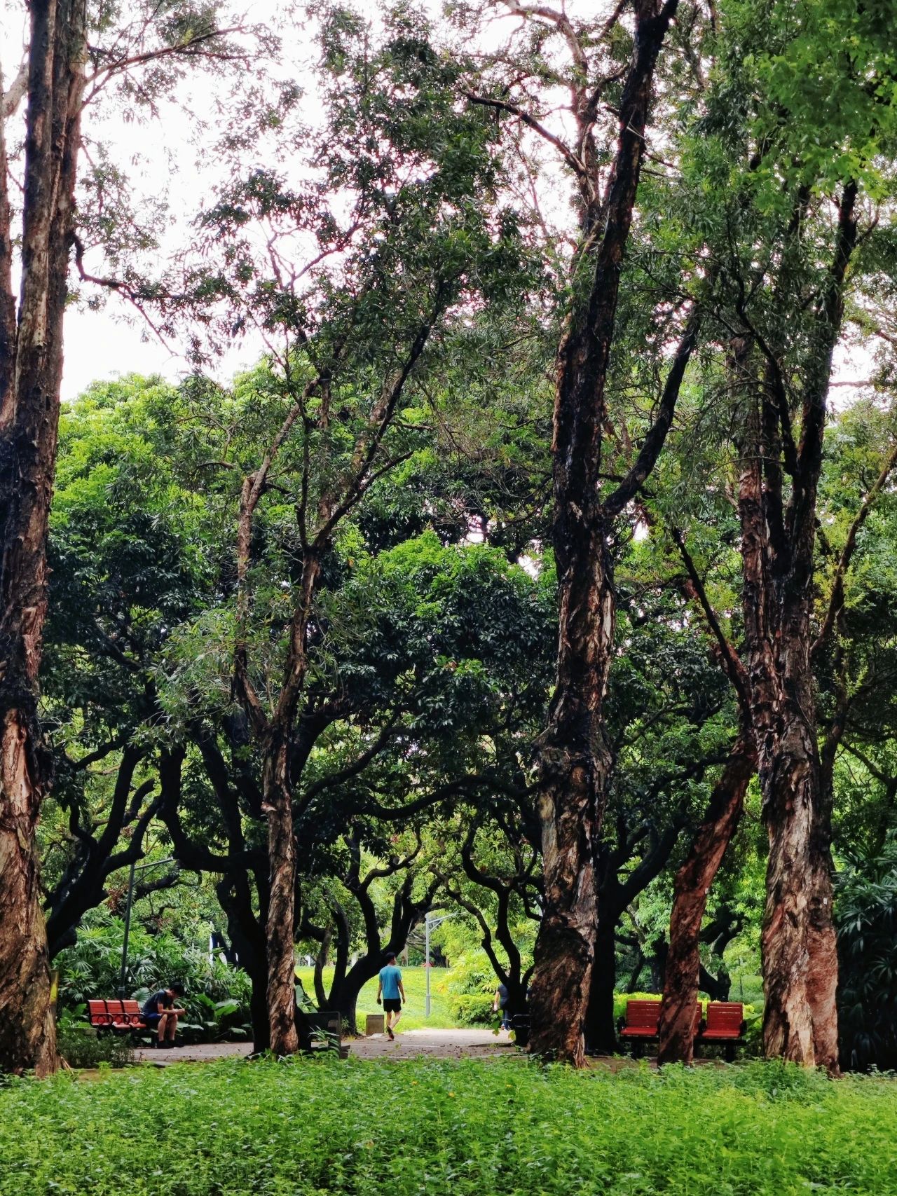 This treasure photo place is - Lingzhi Park