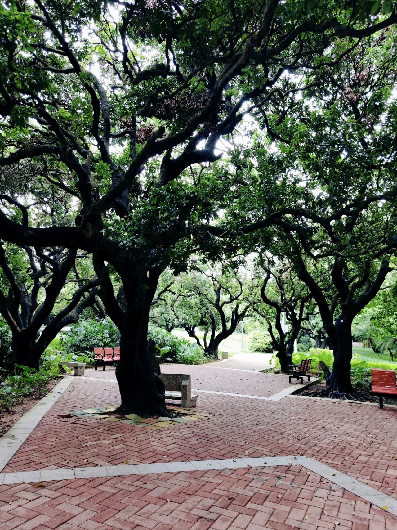 This treasure photo place is - Lingzhi Park