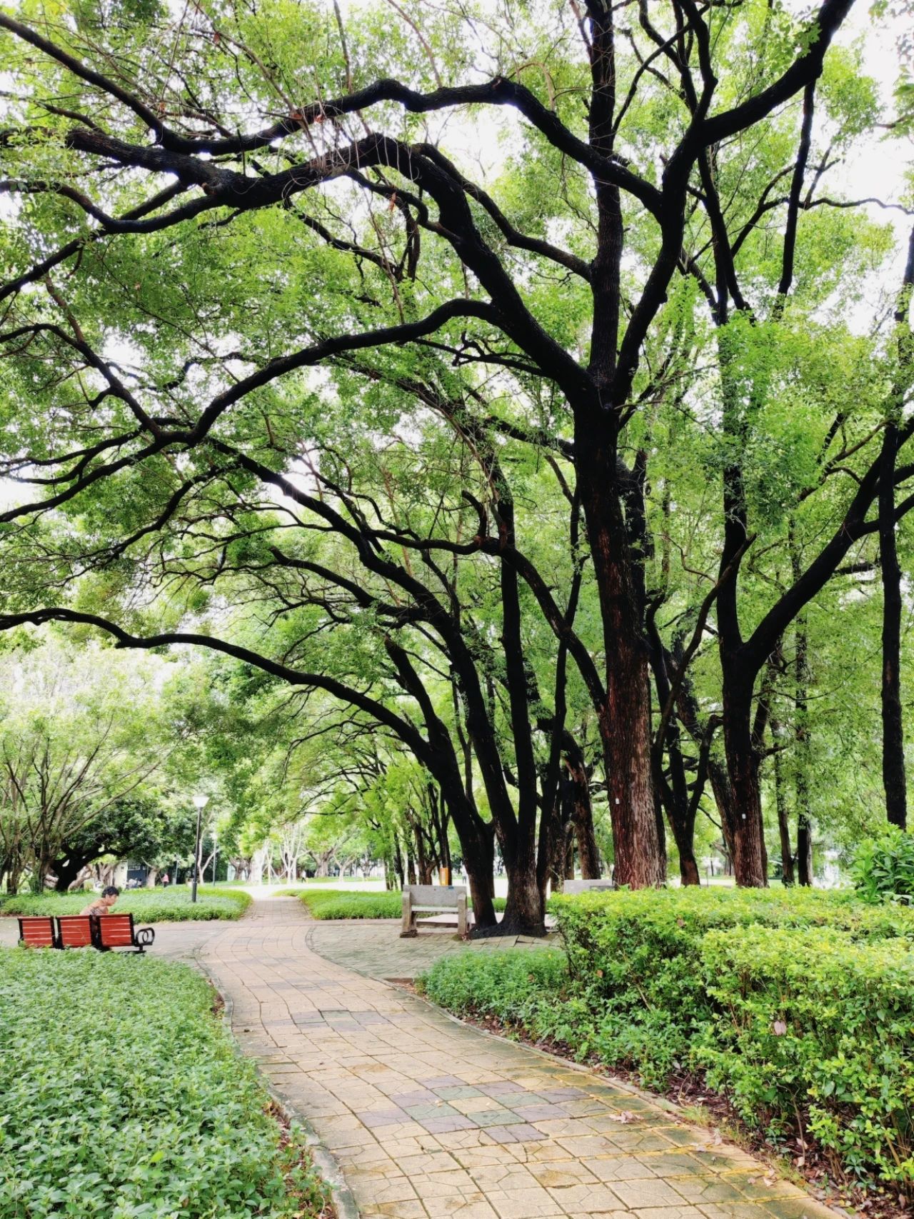 This treasure photo place is - Lingzhi Park