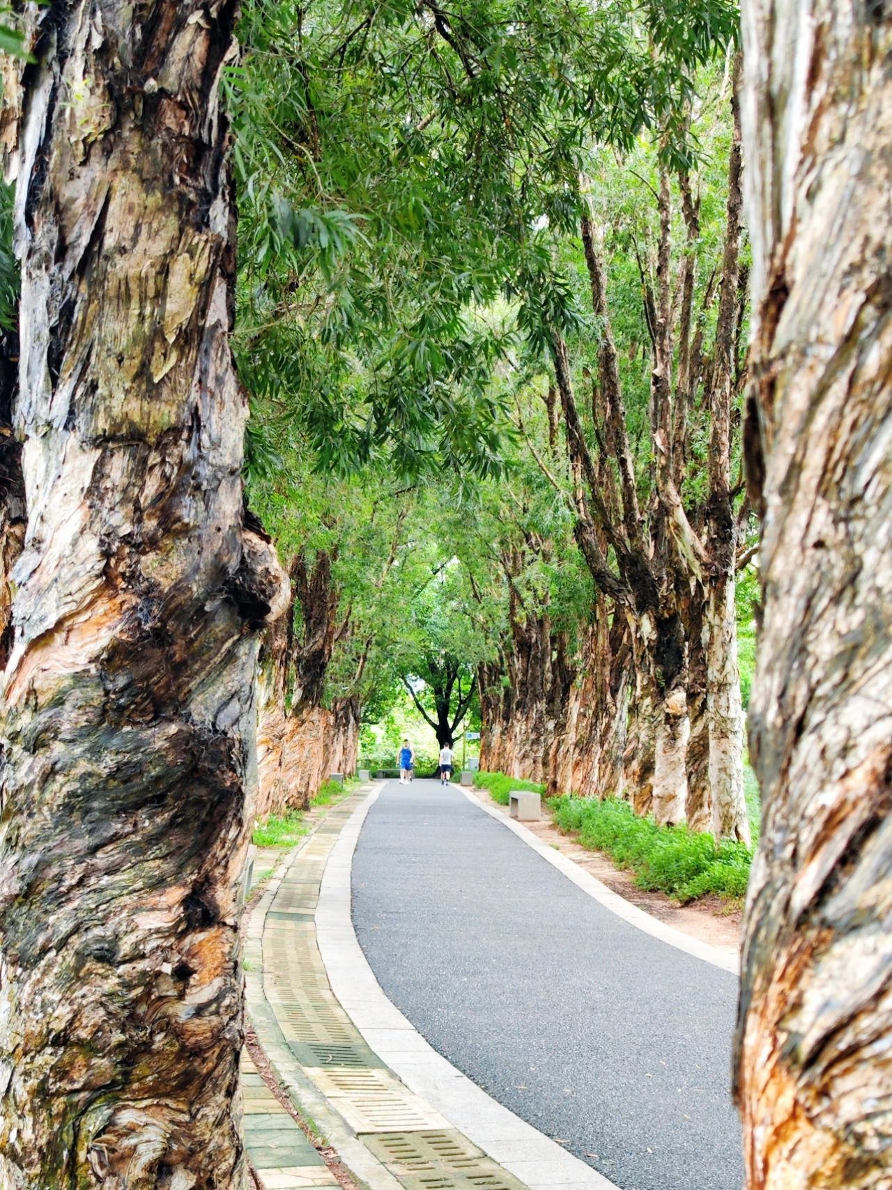 This treasure photo place is - Lingzhi Park