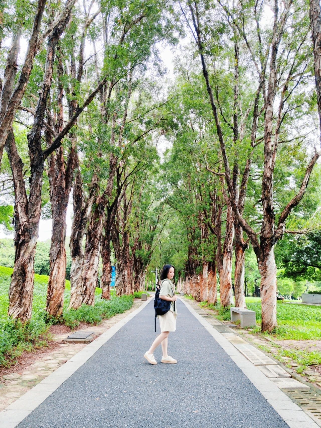 This treasure photo place is - Lingzhi Park