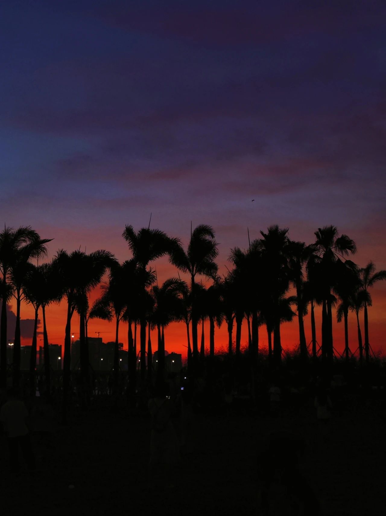 The seaside sunset park-Qianhai Performing Arts Park 