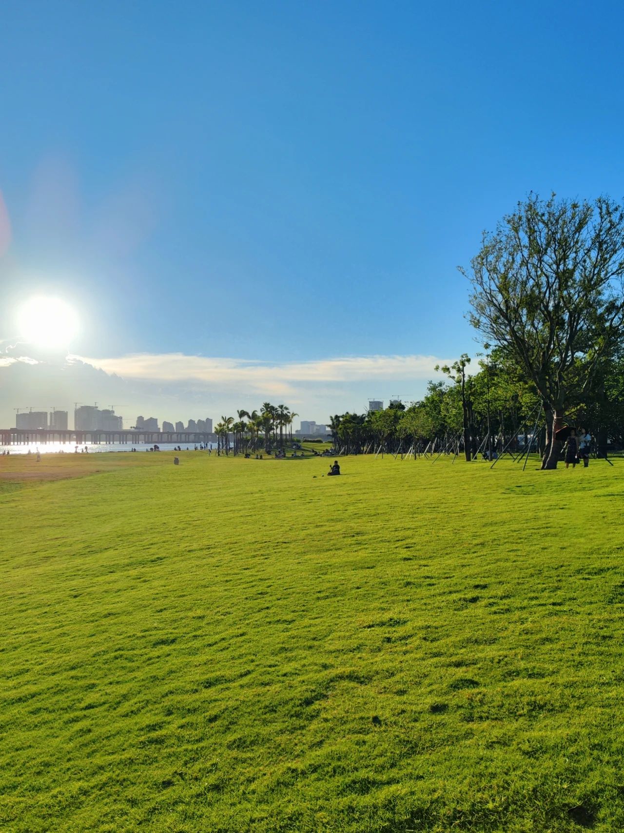 The seaside sunset park-Qianhai Performing Arts Park 