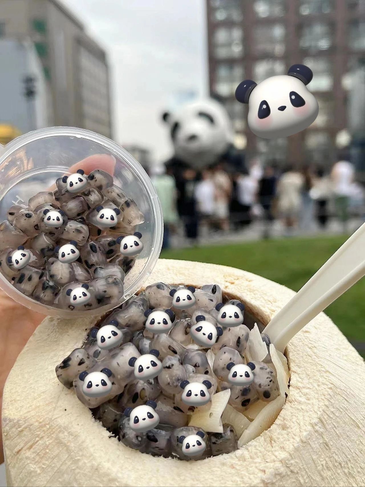 A must-try Panda Coconut Jelly in Chengdu! It's on Chunxi Road.