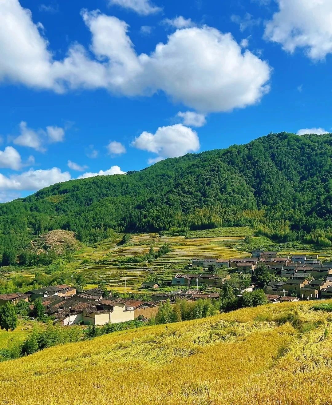 Baiyuan Village, an ancient village for stress relief and healing