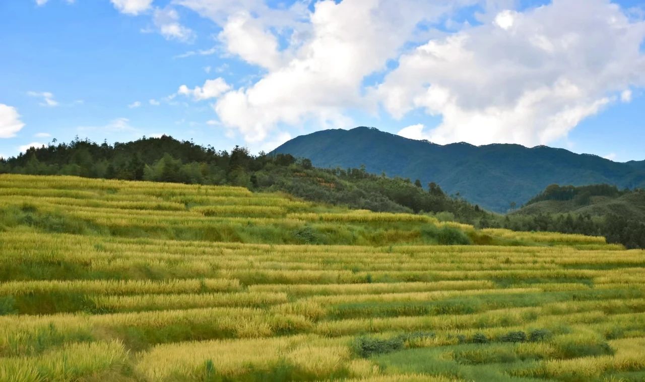 Baiyuan Village, an ancient village for stress relief and healing