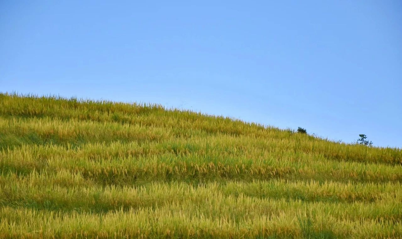 Baiyuan Village, an ancient village for stress relief and healing