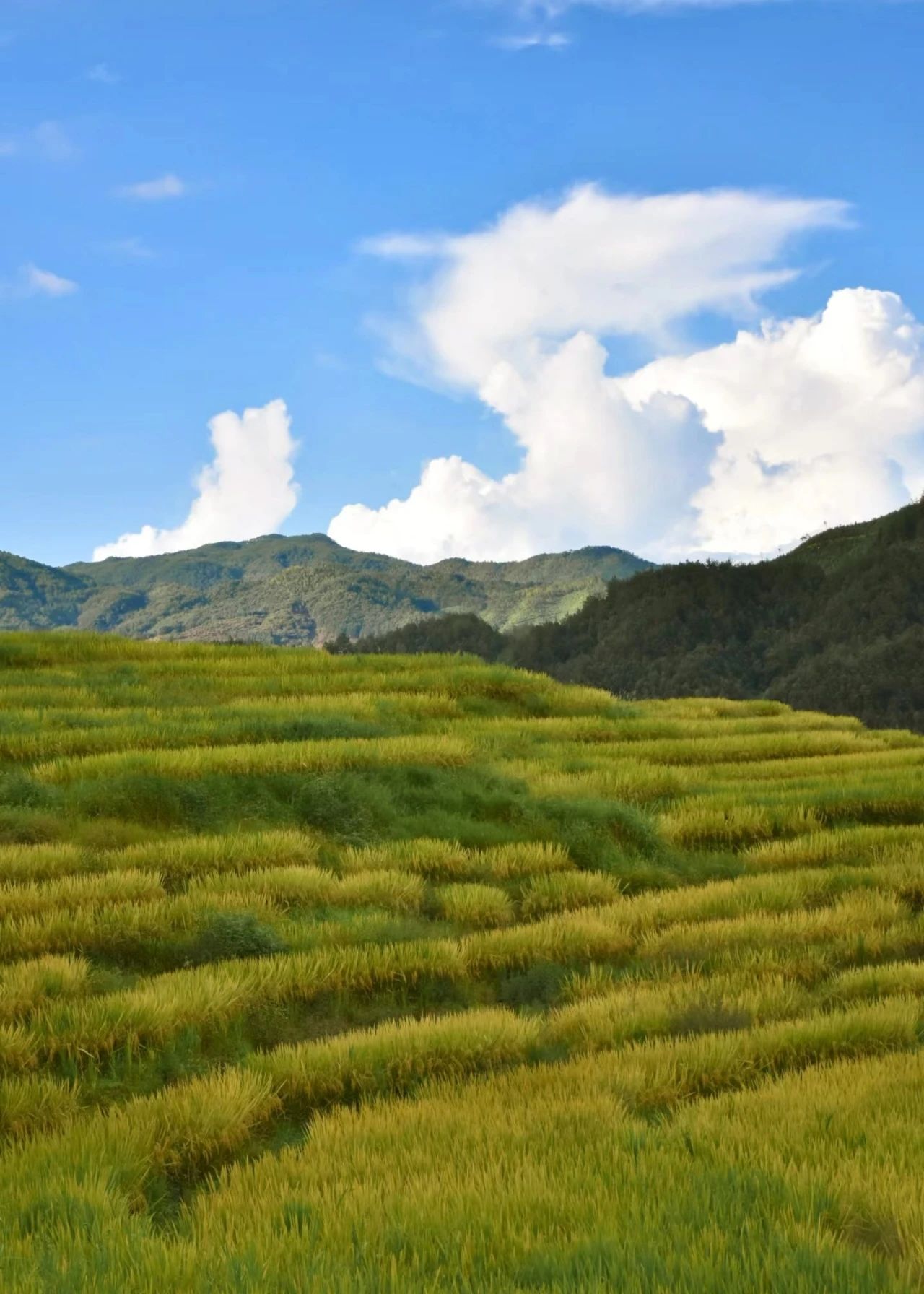 Baiyuan Village, an ancient village for stress relief and healing