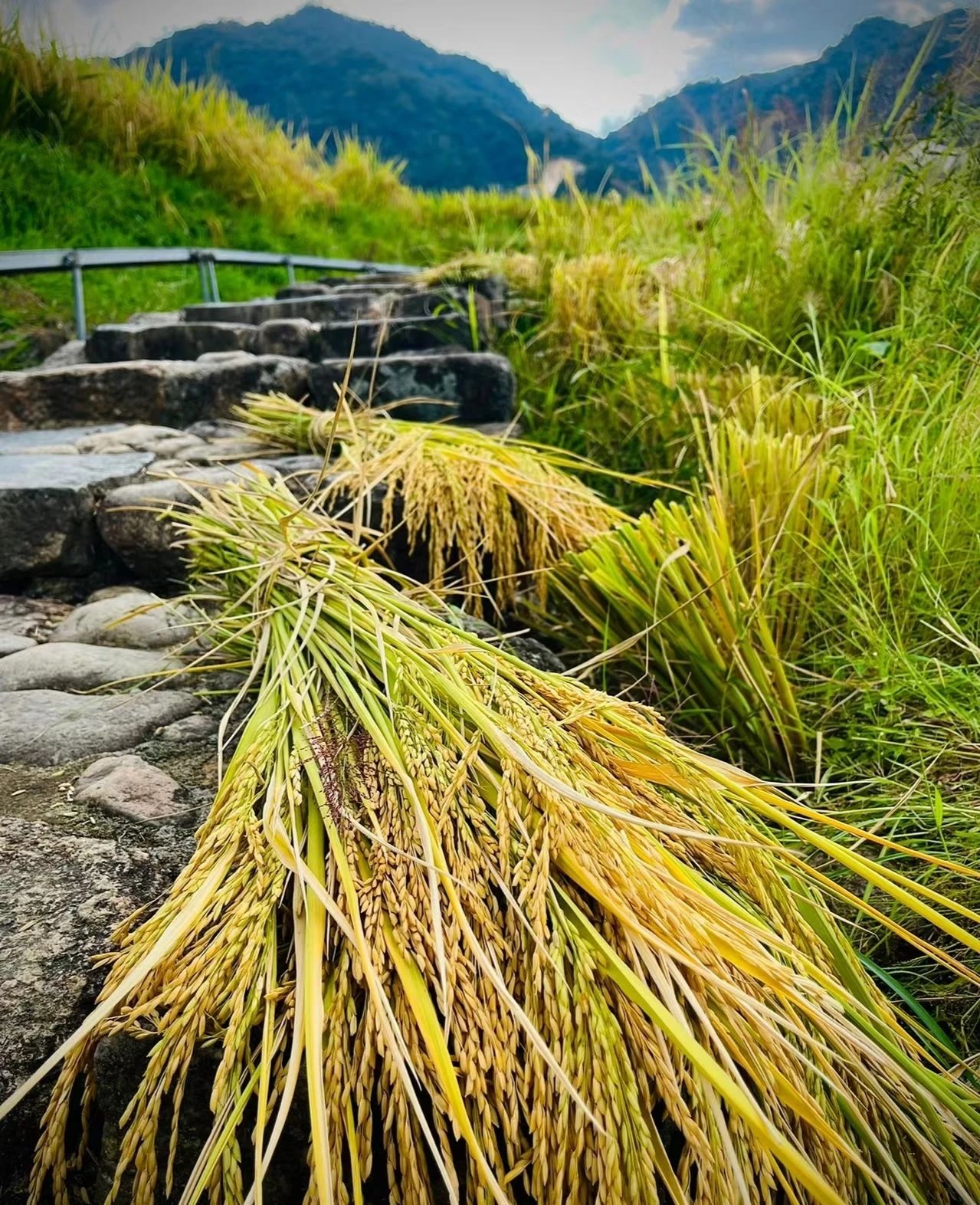 Baiyuan Village, an ancient village for stress relief and healing