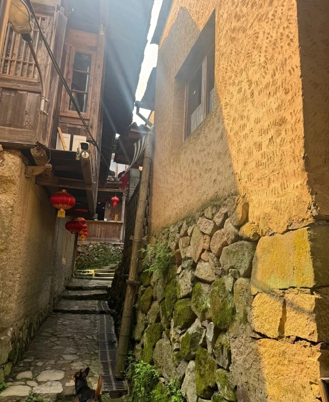 Ancient Village Healed in the Deep Mountains - Siping Village