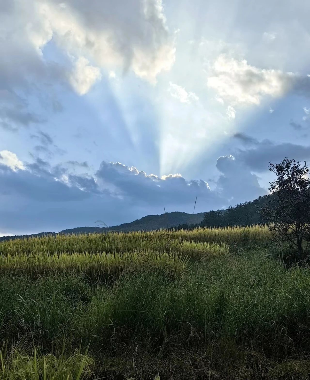 Ancient Village Healed in the Deep Mountains - Siping Village