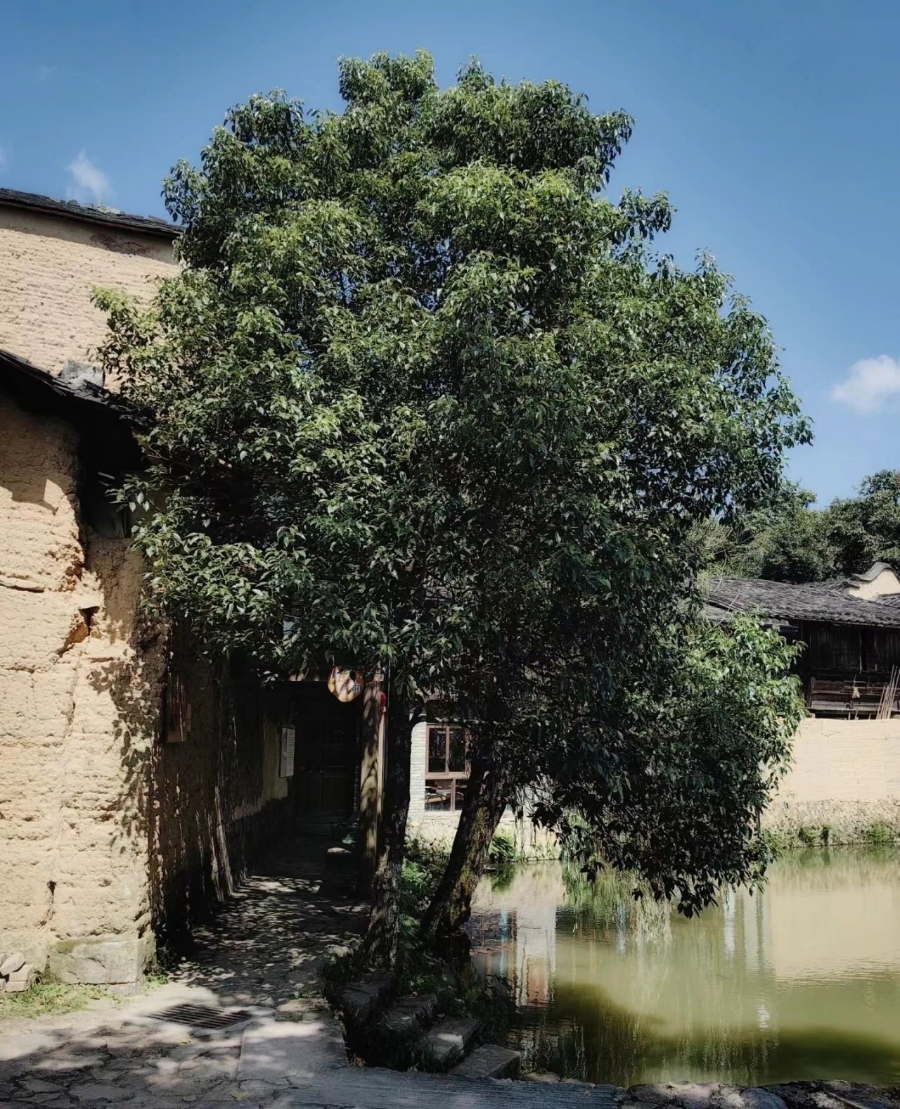 Ancient Village Healed in the Deep Mountains - Siping Village