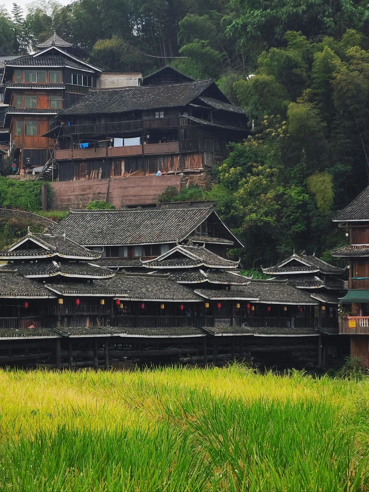 Chengyang Eight Villages