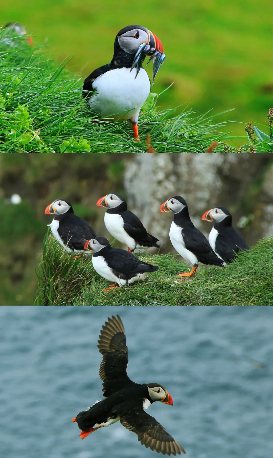 Faroe Islands at the end of the world