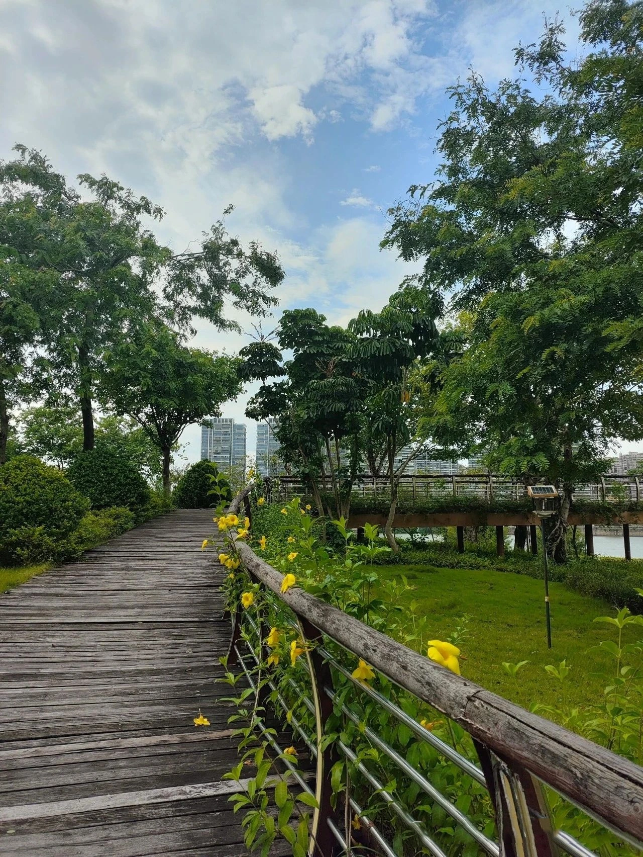 Foshan New Town Riverside Wetland Park, Free deer and squirrels!