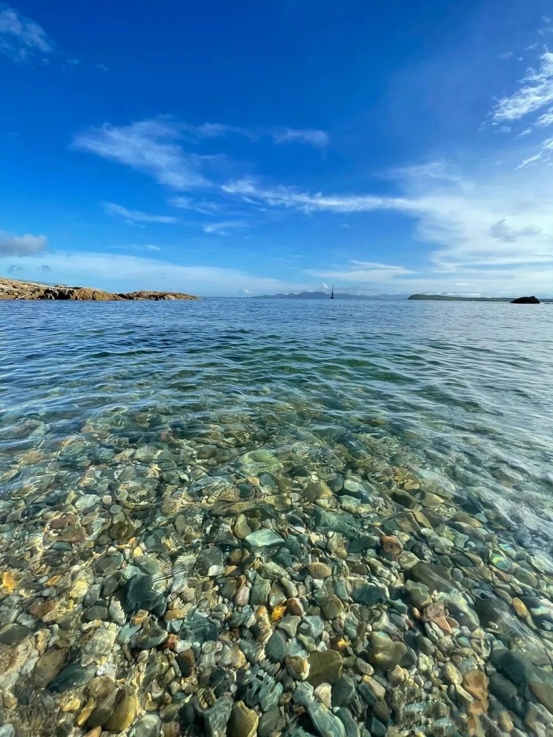 Shenzhen just newly opened less people free glass jelly sea came