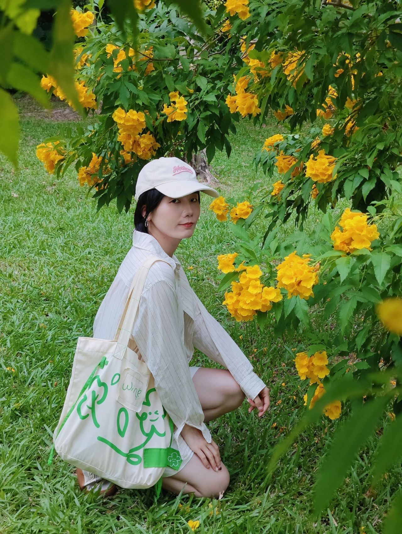 Shenzhen Garden Expo Park yellow bell flowers bloom well