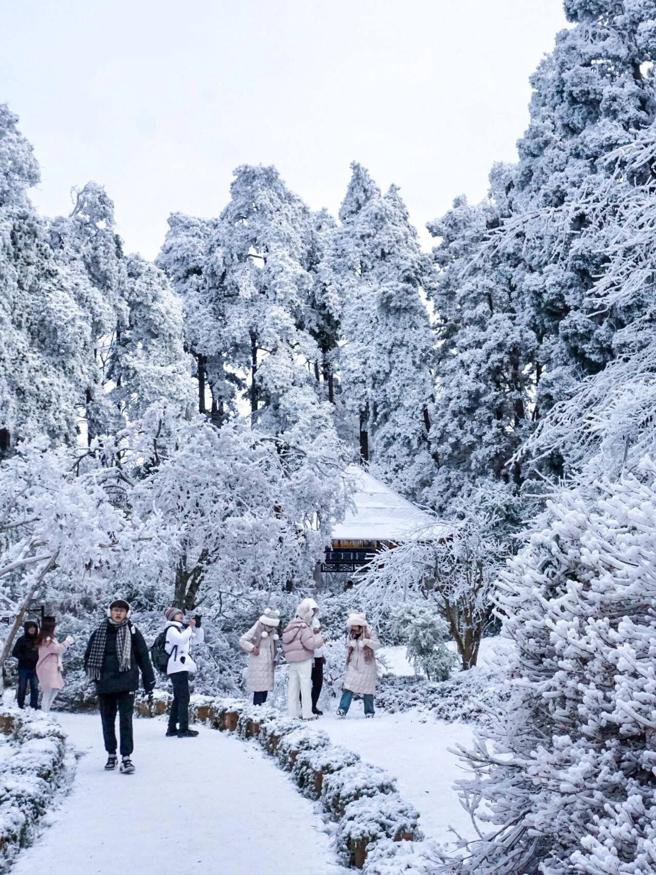 Lushan freezing fog and snow