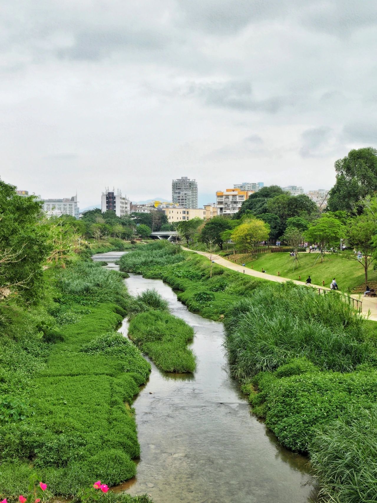 Dasha River Ecological Corridor