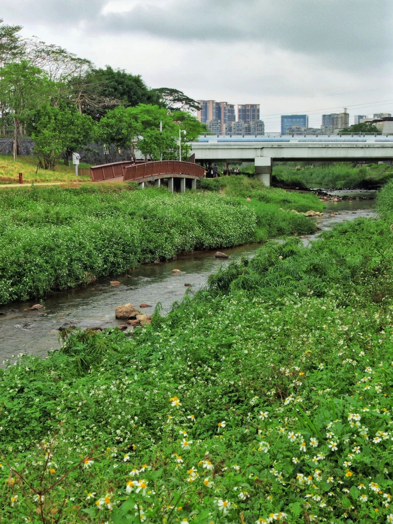 Dasha River Ecological Corridor