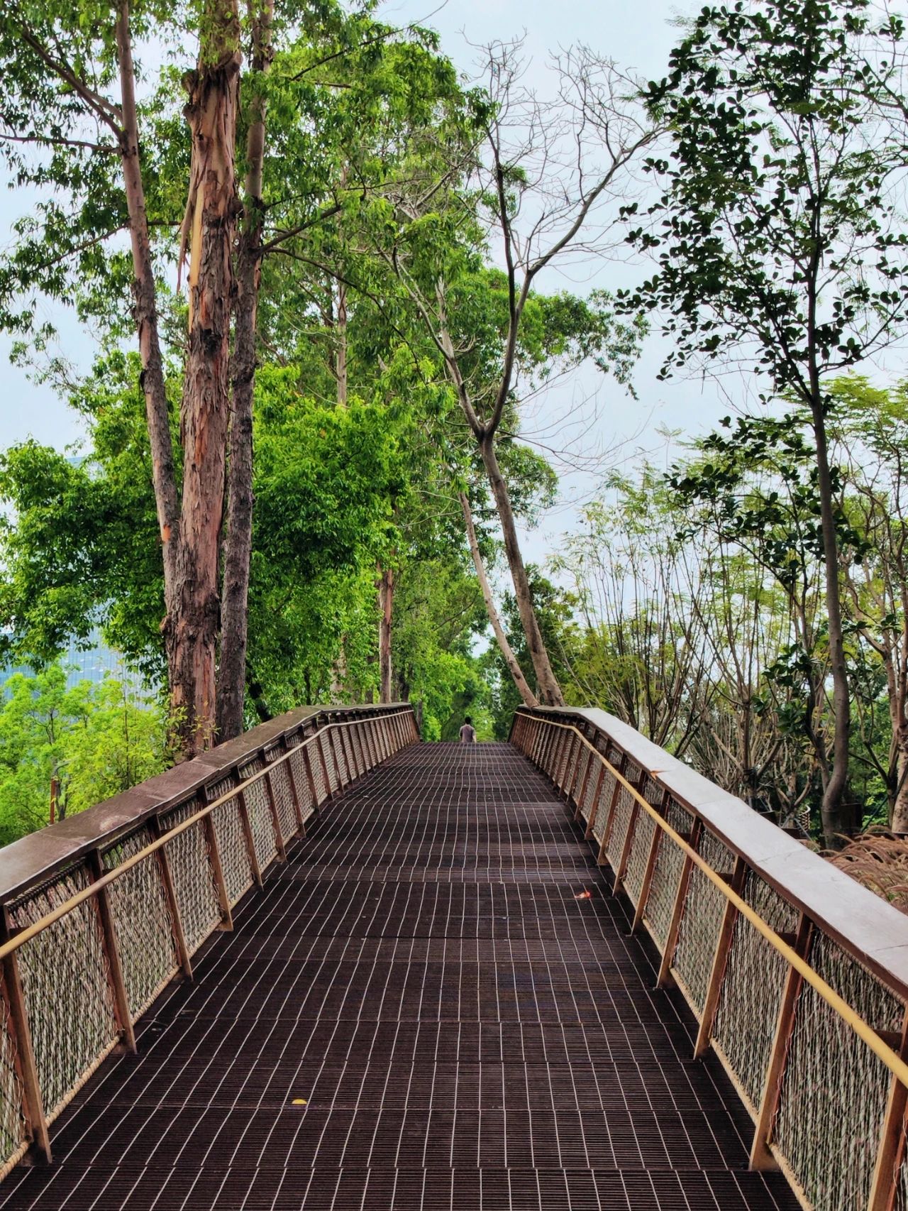 Dasha River Ecological Corridor