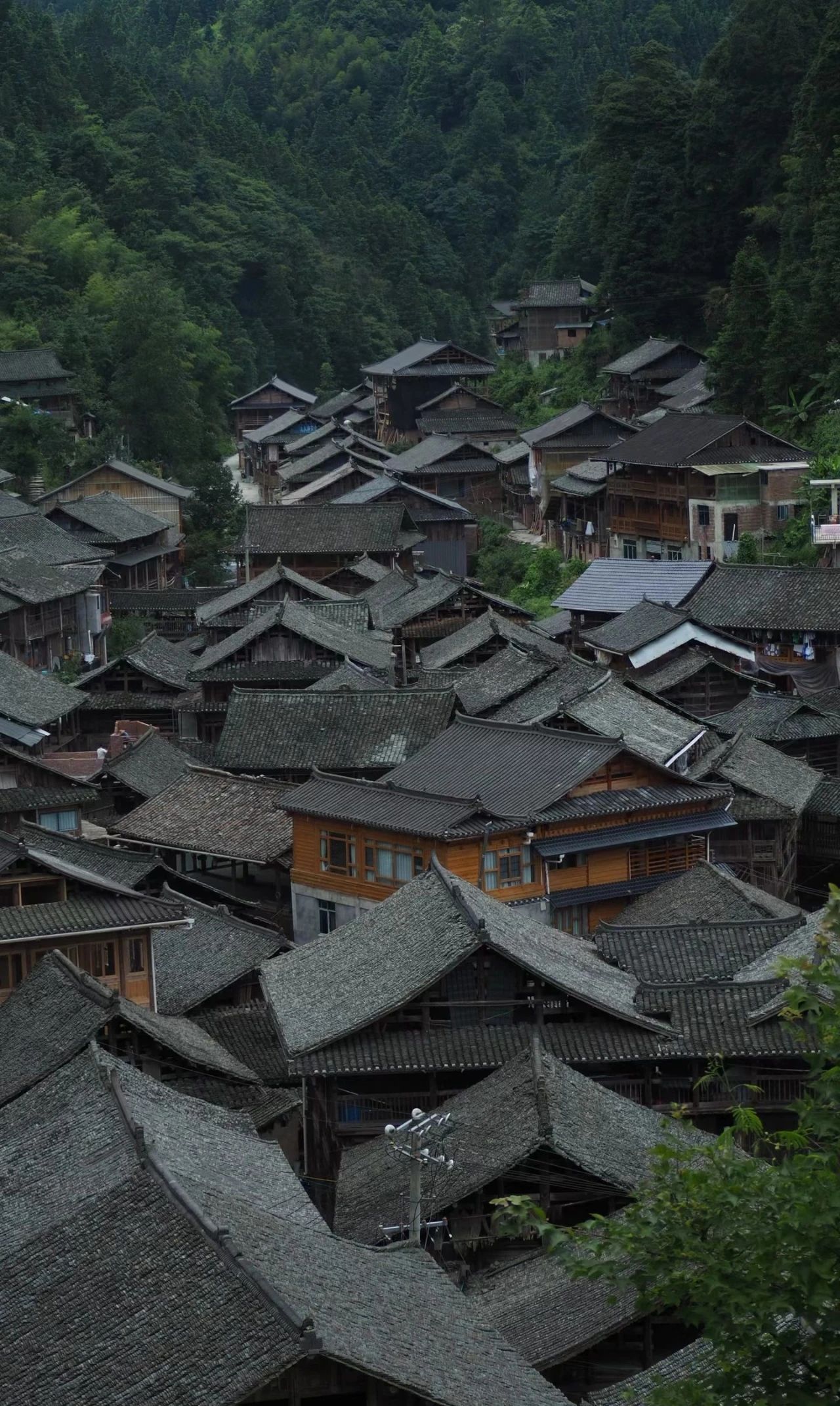 Hidden in the green mountains and waters of the paradise - Dali Dong Village