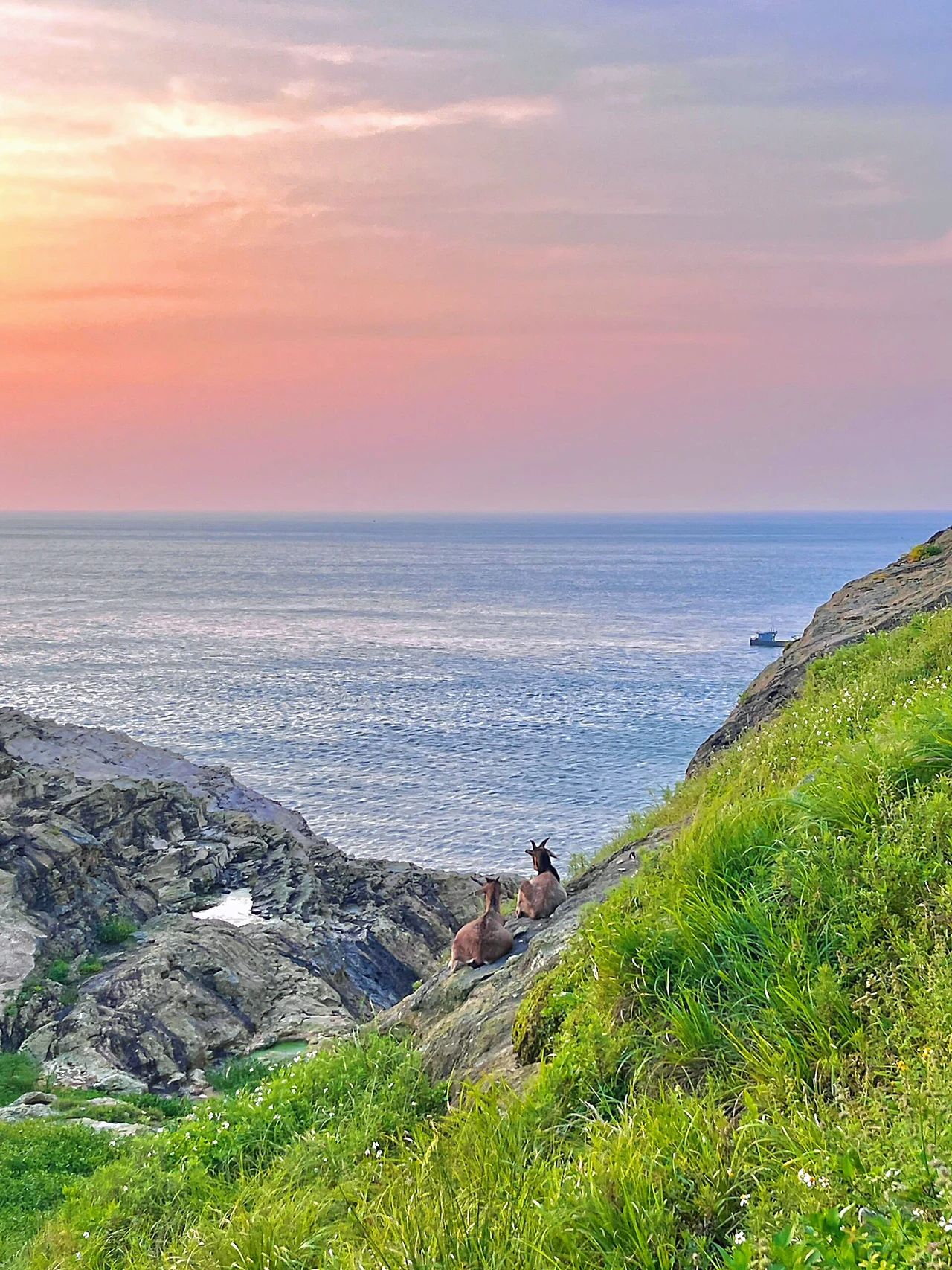 I thought the four Brothers Islands were already beautiful until I came to Taishan Island ❗️