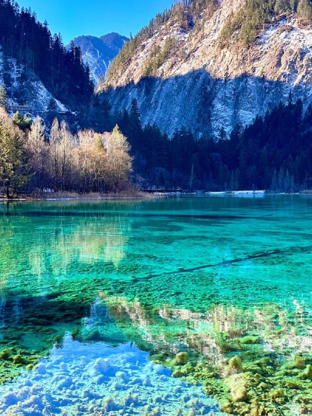 visit Jiuzhaigou in winter