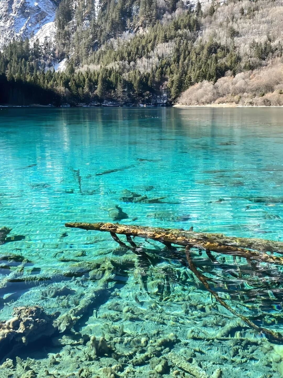 visit Jiuzhaigou in winter