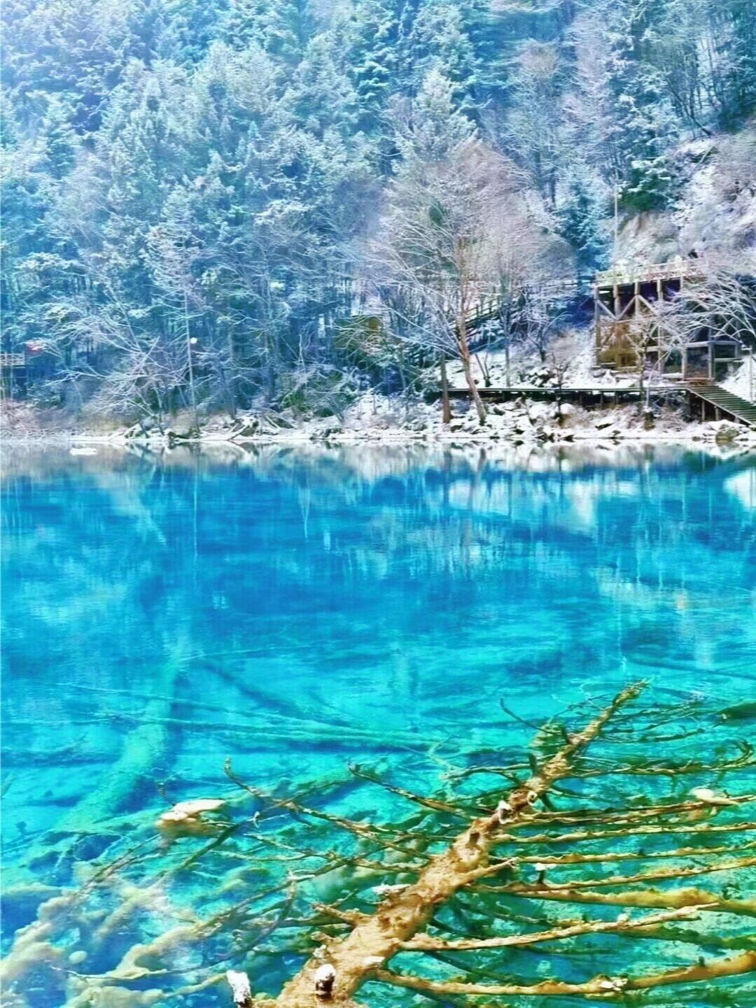 visit Jiuzhaigou in winter