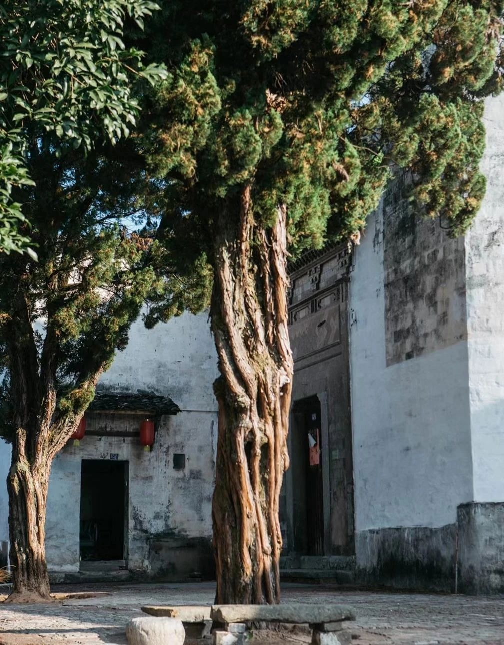 Lanxi Zhuge Bagua Village, the largest settlement of Zhuge Liang's descendants.