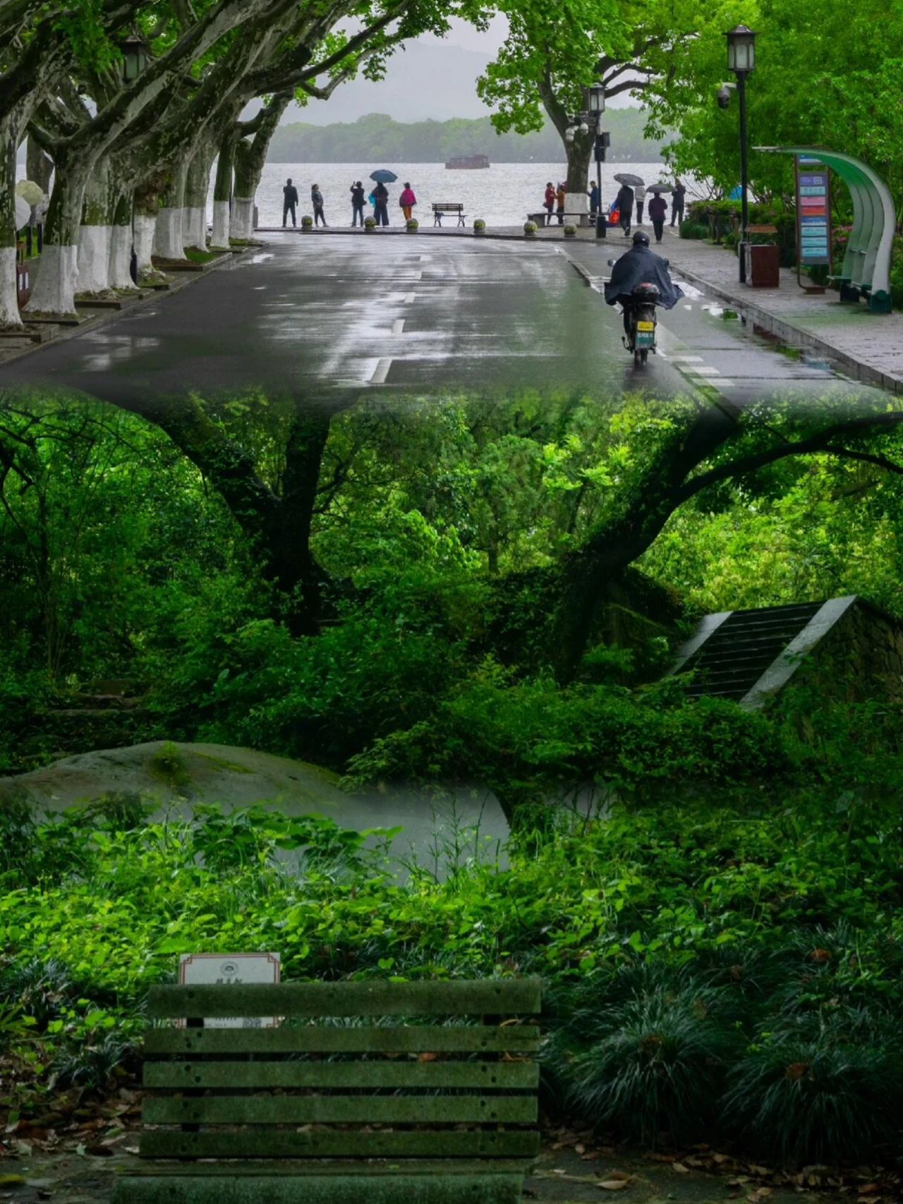 Hangzhou Gushan Park